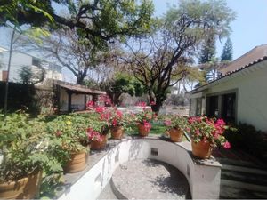 Casa en Renta en Reforma Cuernavaca