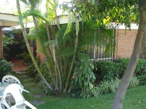 Casa en Renta en Lomas de Acatlipa Temixco