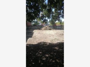 Terreno en Venta en Lomas de Cuernavaca Temixco