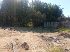 Terreno en Venta en Lomas de Acapatzingo Cuernavaca