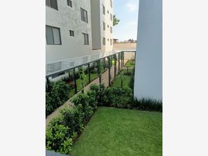 Departamento en Venta en Tlaltenango Cuernavaca