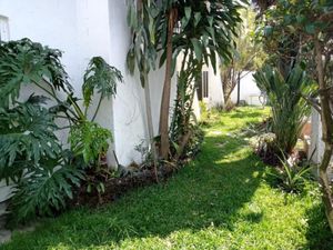 Casa en Renta en Cuernavaca Centro Cuernavaca