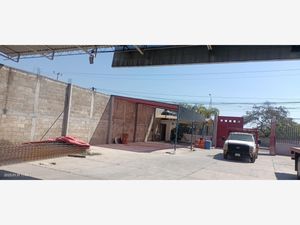 Bodega en Renta en Alpuyeca Xochitepec