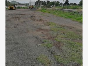 Terreno en Renta en Santiago Tezoyuca