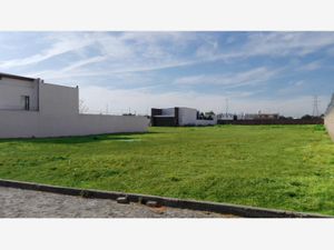 Terreno en Venta en Santa Cruz Guadalupe Puebla