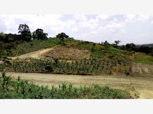 Terreno en Venta en Cerro del Mesón Poza Rica de Hidalgo