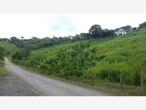 Terreno en Venta en Linderos Venustiano Carranza