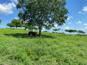 Terreno en Venta en Chalahuite Tuxpan