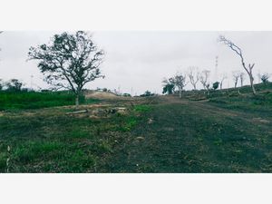 Terreno en Venta en Arroyo del Maíz Uno Poza Rica de Hidalgo