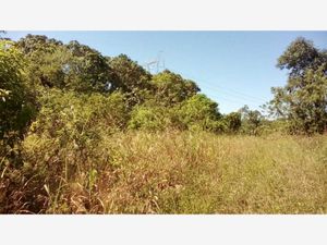 Terreno en Venta en La Isla (Kilómetro 10) Tihuatlán