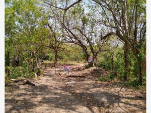 Terreno en Venta en Las Joyas Palenque