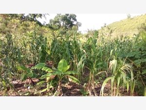 Terreno en Venta en Rancho Playa Papantla