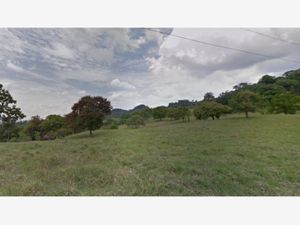 Terreno en Venta en Cerro Del Mesón Poza Rica de Hidalgo