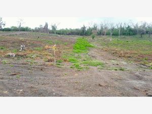 Terreno en Venta en Arroyo del Maíz Uno Poza Rica de Hidalgo