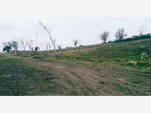 Terreno en Venta en Arroyo del Maíz Uno Poza Rica de Hidalgo