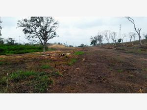 Terreno en Venta en Arroyo del Maíz Uno Poza Rica de Hidalgo