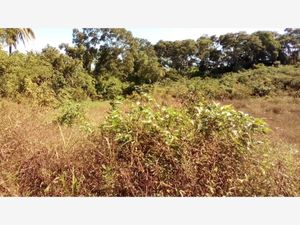 Terreno en Venta en La Isla (Kilómetro 10) Tihuatlán