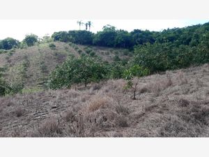 Terreno en Venta en Chichimantla Segundo Tihuatlán