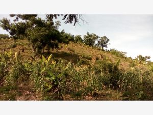 Terreno en Venta en Rancho Playa Papantla