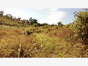 Terreno en Venta en La Isla (Kilómetro 10) Tihuatlán