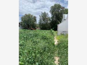 Terreno en Venta en San Andres de las Peras Tepetlaoxtoc