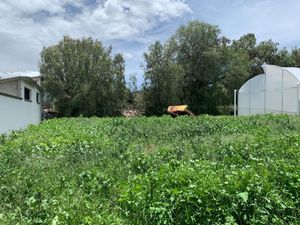 Terreno en Venta en San Andres de las Peras Tepetlaoxtoc