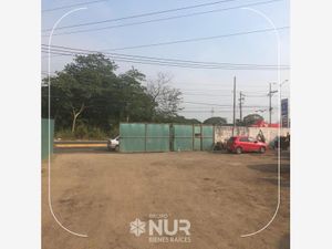 Terreno en Venta en Buena Vista 2da. Sección Centro