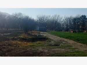 Terreno en Venta en Las Palmeras Parras