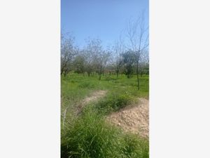 Terreno en Venta en Parras Parras