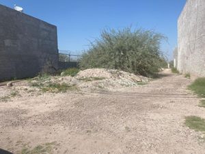 Terreno en Renta en Los Viñedos Torreón