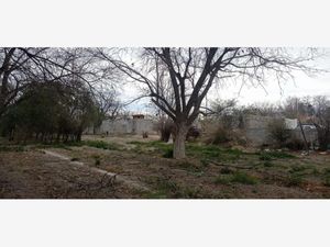 Terreno en Venta en Parras de la Fuente Centro Parras