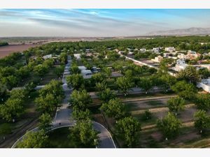 Terreno en Venta en San Armando Torreón