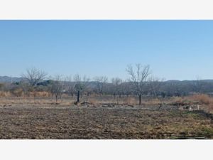 Terreno en Venta en Las Palmeras Parras