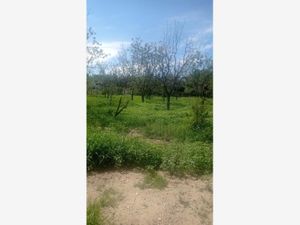 Terreno en Venta en Parras Parras