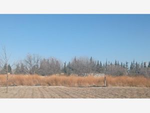 Terreno en Venta en Las Palmeras Parras