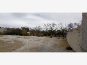 Terreno en Venta en Parras de la Fuente Centro Parras