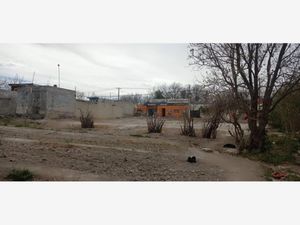 Terreno en Venta en Parras de la Fuente Centro Parras