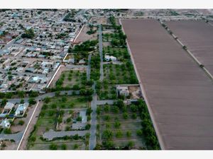 Terreno en Venta en San Armando Torreón