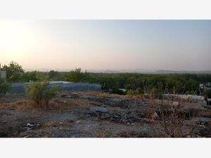 Terreno en Venta en Parras de la Fuente Centro Parras