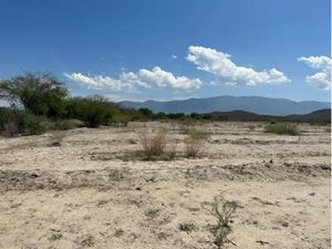 Terreno en Venta en San Lorenzo Parras