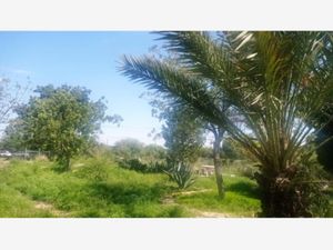 Terreno en Venta en Parras Parras