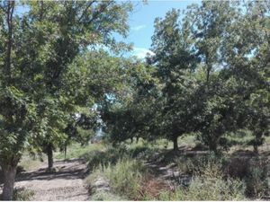 Finca/Rancho en Venta en Cerro Colorado Parras