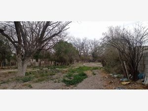 Terreno en Venta en Parras de la Fuente Centro Parras