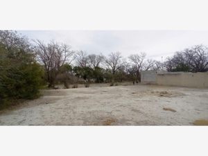 Terreno en Venta en Parras de la Fuente Centro Parras