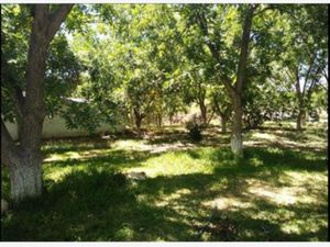 Finca/Rancho en Venta en Nogalar Parras