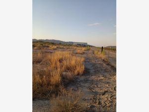 Terreno en Venta en Santa Isabel y Santa Rita Parras