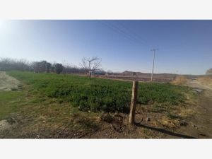 Terreno en Venta en Las Palmeras Parras