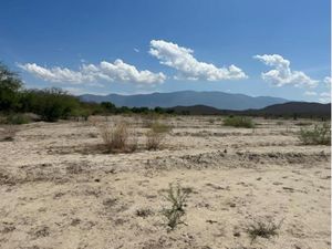 Terreno en Venta en San Lorenzo Parras