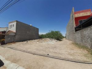 Terreno en Renta en Los Viñedos Torreón