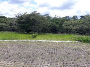 Terreno en Venta en Residencial del Lago Xalapa